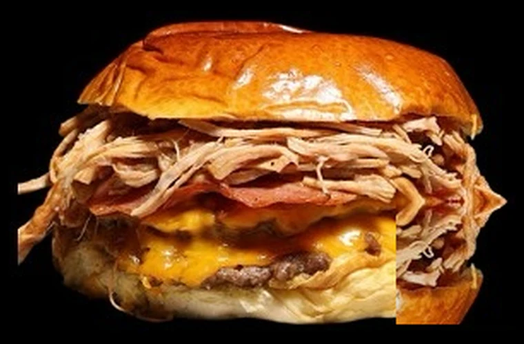 Pulled Pork Burger